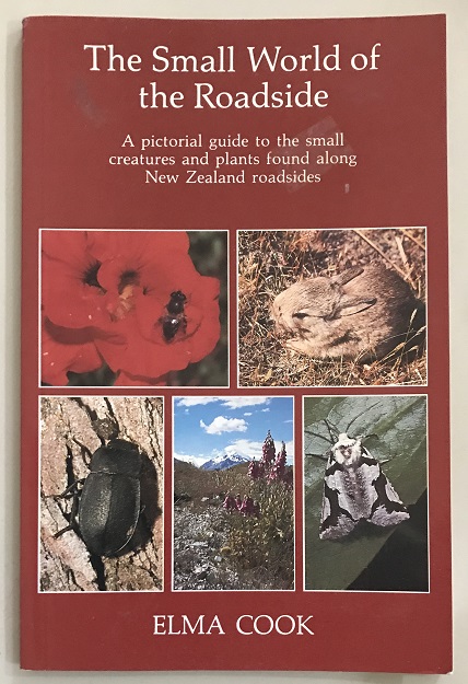 A Pictorial Guide to the Small Creatures Found Along New Zealand Roadsides